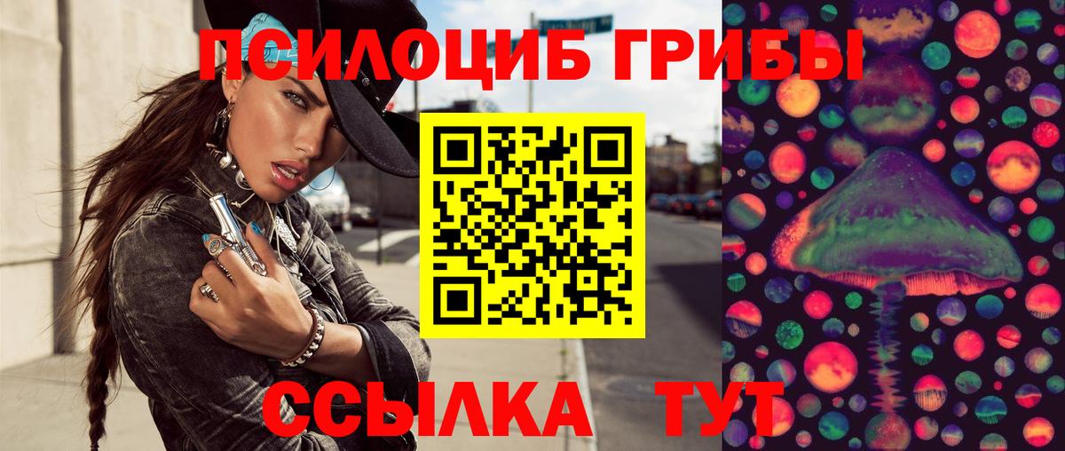 Галлюциногенные грибы GOLDEN TEACHER  Псилоцибиновые грибы Psilocybine cubensis  Вход с VPN  Карачаевск 