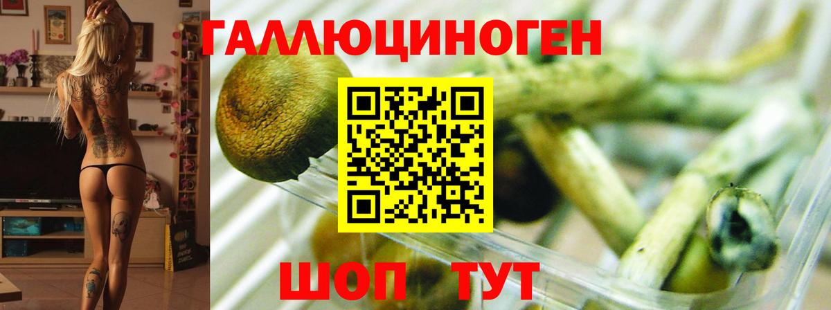 Галлюциногенные грибы Magic Shrooms Карачаевск
