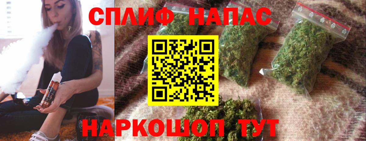 Марихуана конопля Карачаевск